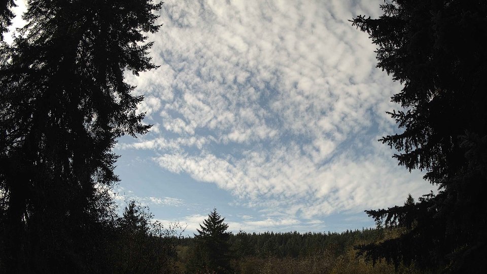 Pacific Northwest skyline timelapse on Nov 08, 2025 at 10:30 AM