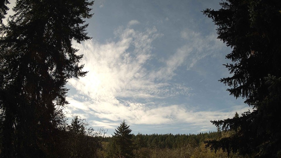 Pacific Northwest skyline timelapse on Nov 08, 2025 at 11:00 AM