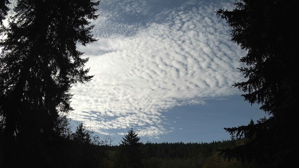 Pacific Northwest skyline timelapse on Nov 08, 2025 at 11:30 AM