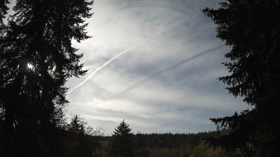Pacific Northwest skyline timelapse on Nov 08, 2025 at 12:30 PM
