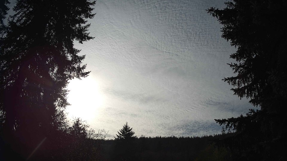 Pacific Northwest skyline timelapse on Nov 08, 2025 at 1:45 PM