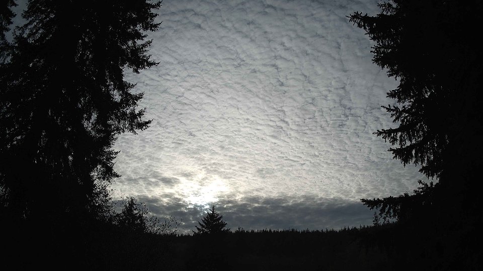 Pacific Northwest skyline timelapse on Nov 08, 2025 at 2:45 PM