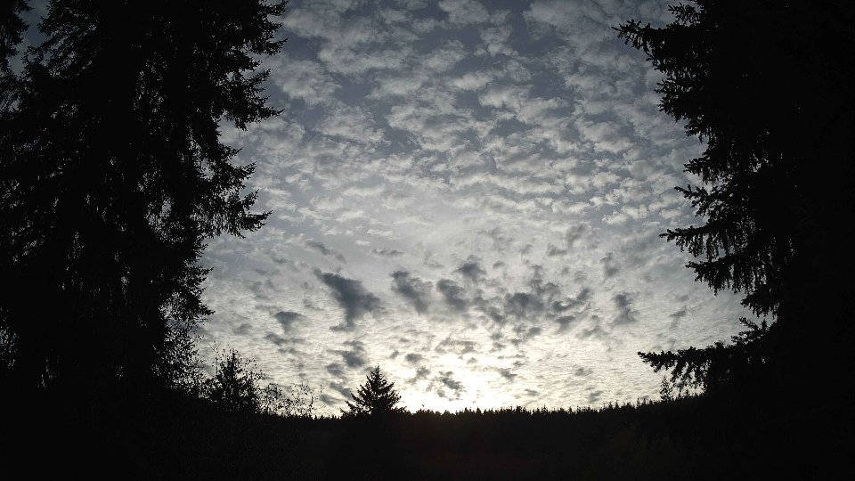 Pacific Northwest skyline timelapse on Nov 08, 2025 at 3:30 PM