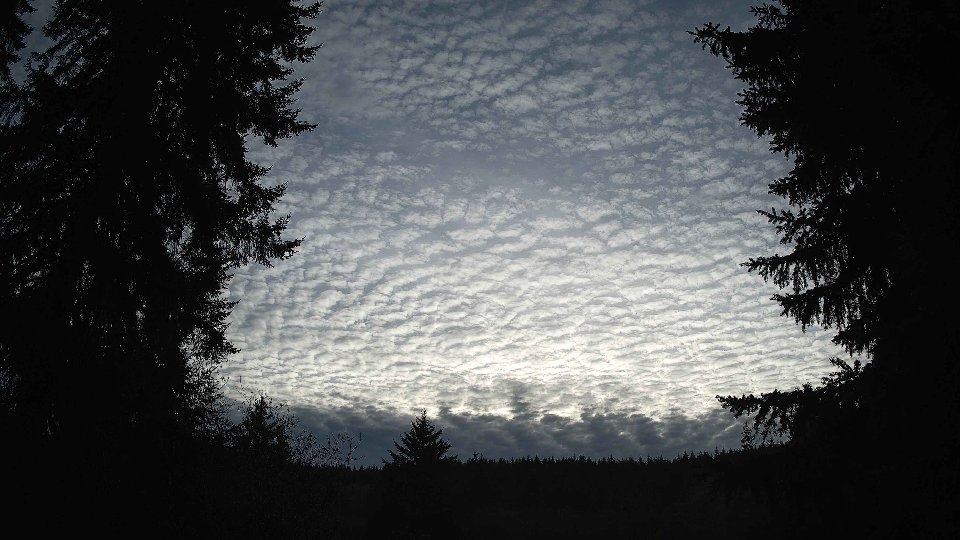 Pacific Northwest skyline timelapse on Nov 08, 2025 at 3:45 PM