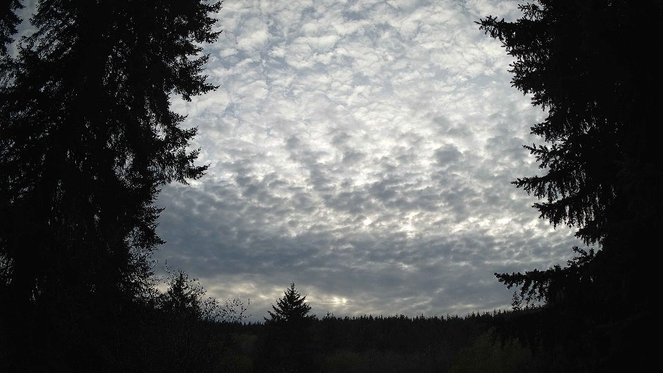 Pacific Northwest skyline timelapse on Nov 08, 2025 at 4:00 PM