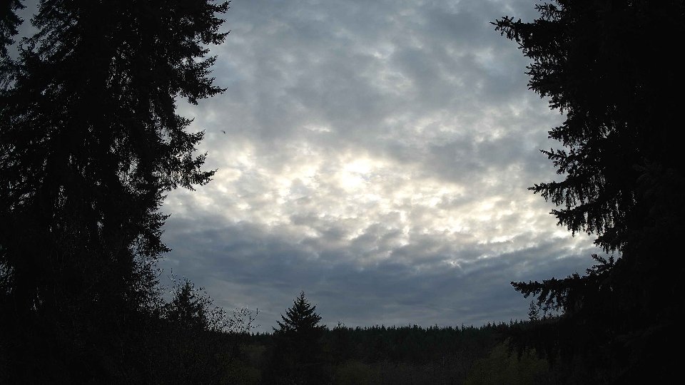 Pacific Northwest skyline timelapse on Nov 08, 2025 at 4:15 PM