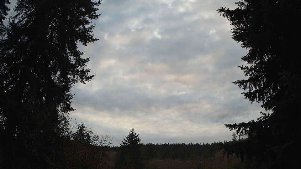 Pacific Northwest skyline timelapse on Nov 08, 2025 at 4:30 PM