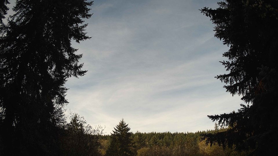 Pacific Northwest skyline timelapse on Nov 09, 2025 at 8:30 AM
