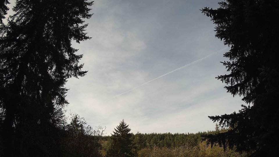 Pacific Northwest skyline timelapse on Nov 09, 2025 at 9:00 AM