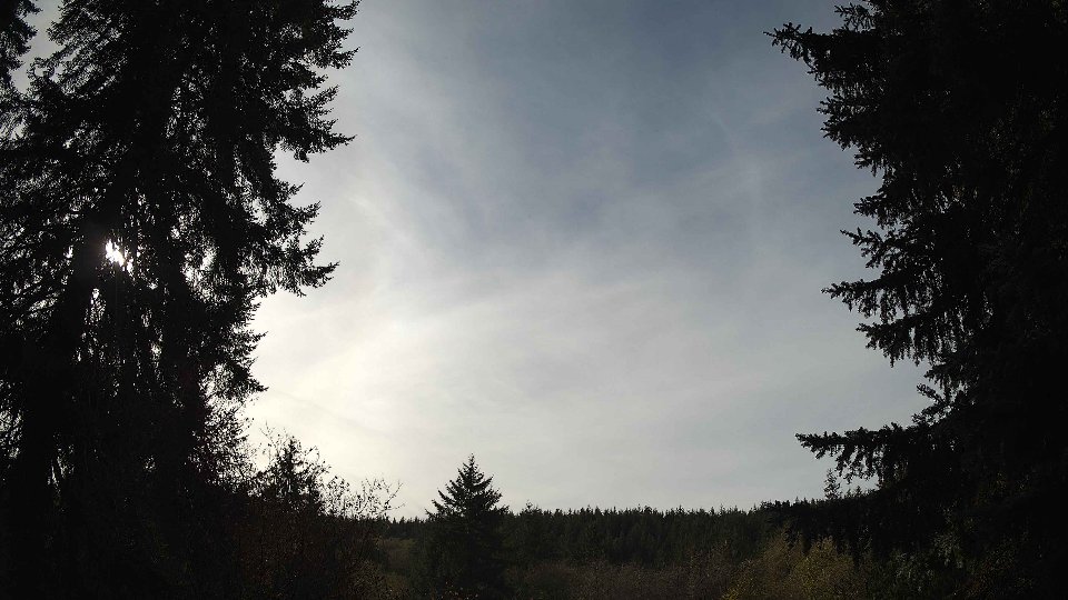 Pacific Northwest skyline timelapse on Nov 09, 2025 at 12:30 PM