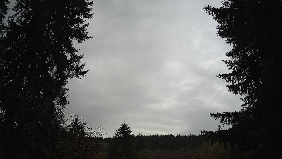 Pacific Northwest skyline timelapse on Nov 10, 2025 at 8:00 AM