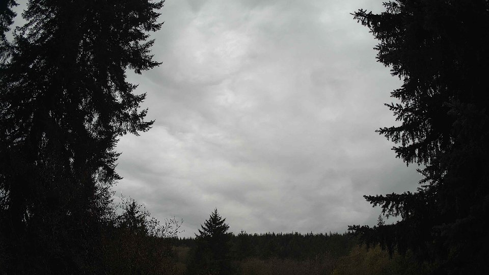 Pacific Northwest skyline timelapse on Nov 10, 2025 at 9:00 AM