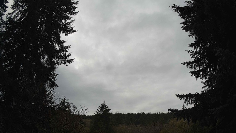 Pacific Northwest skyline timelapse on Nov 10, 2025 at 10:00 AM