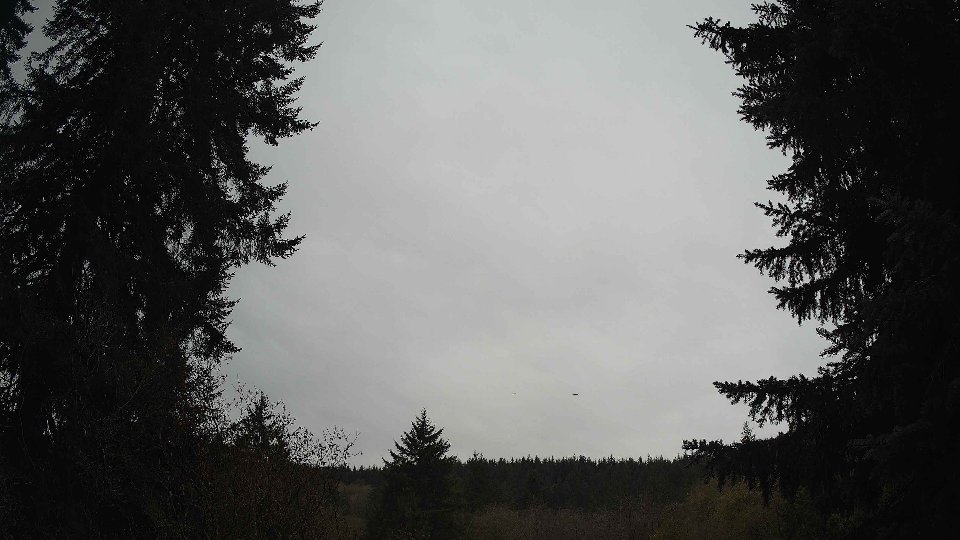 Pacific Northwest skyline timelapse on Nov 10, 2025 at 12:00 PM