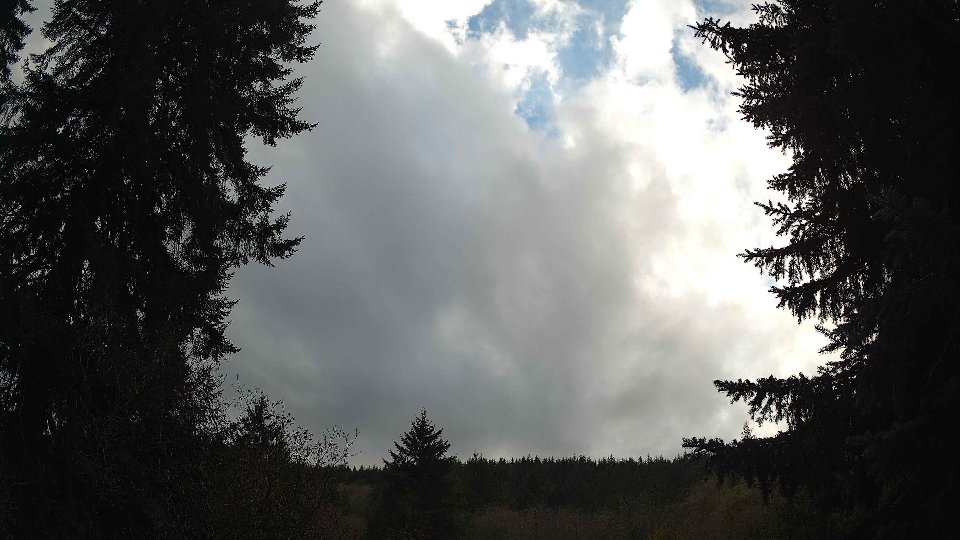 Pacific Northwest skyline timelapse on Nov 10, 2025 at 2:30 PM