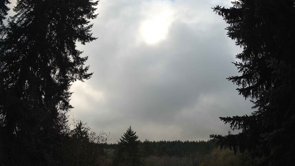 Pacific Northwest skyline timelapse on Nov 10, 2025 at 3:30 PM