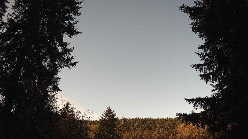 Pacific Northwest skyline timelapse on Nov 11, 2025 at 8:45 AM