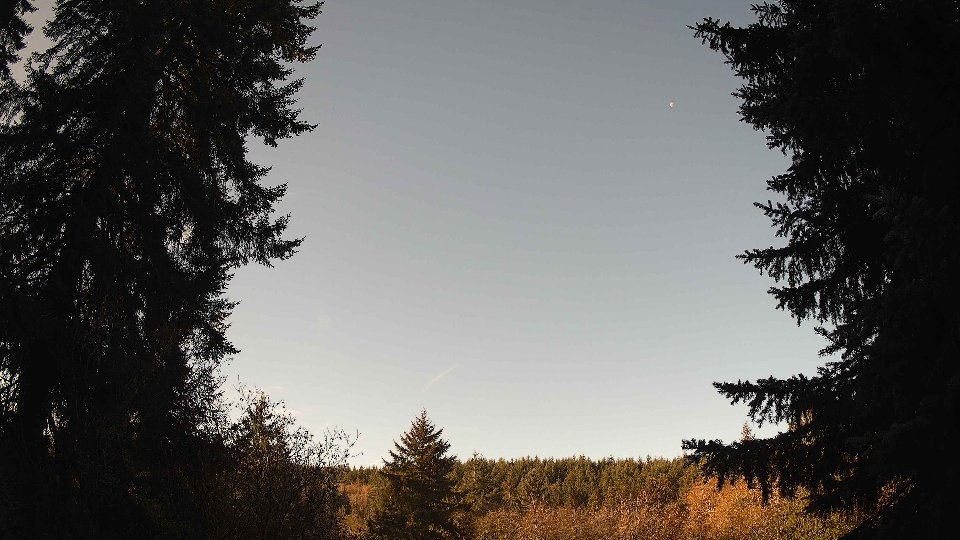 Pacific Northwest skyline timelapse on Nov 11, 2025 at 9:00 AM