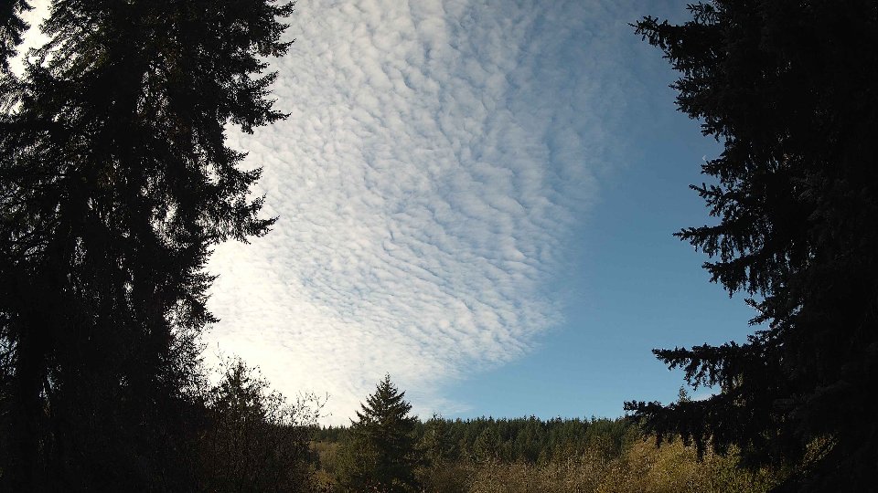 Pacific Northwest skyline timelapse on Nov 11, 2025 at 9:45 AM