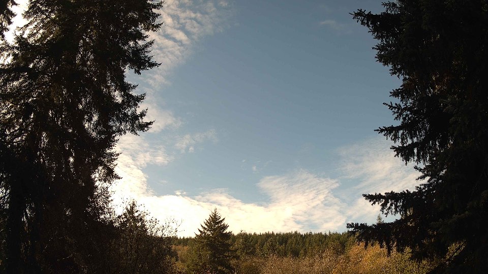 Pacific Northwest skyline timelapse on Nov 11, 2025 at 10:00 AM