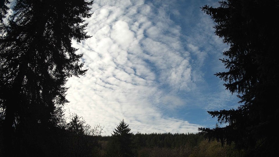 Pacific Northwest skyline timelapse on Nov 11, 2025 at 10:15 AM