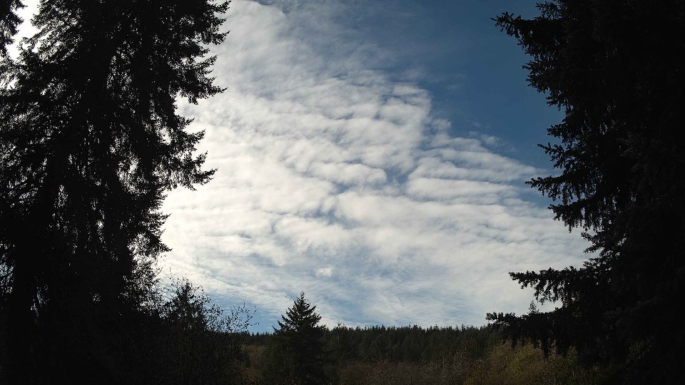 Pacific Northwest skyline timelapse on Nov 11, 2025 at 10:30 AM