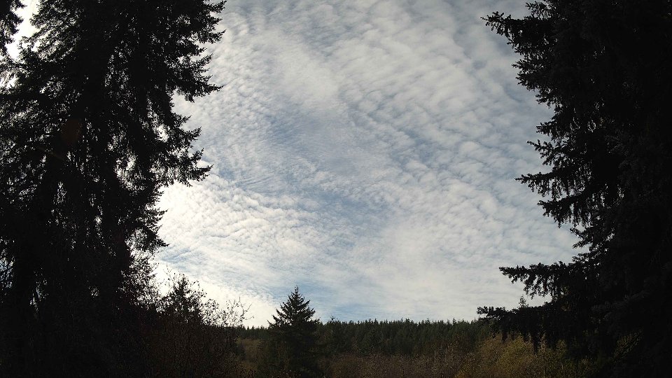 Pacific Northwest skyline timelapse on Nov 11, 2025 at 10:45 AM