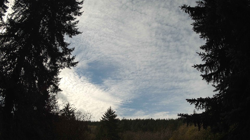 Pacific Northwest skyline timelapse on Nov 11, 2025 at 11:00 AM