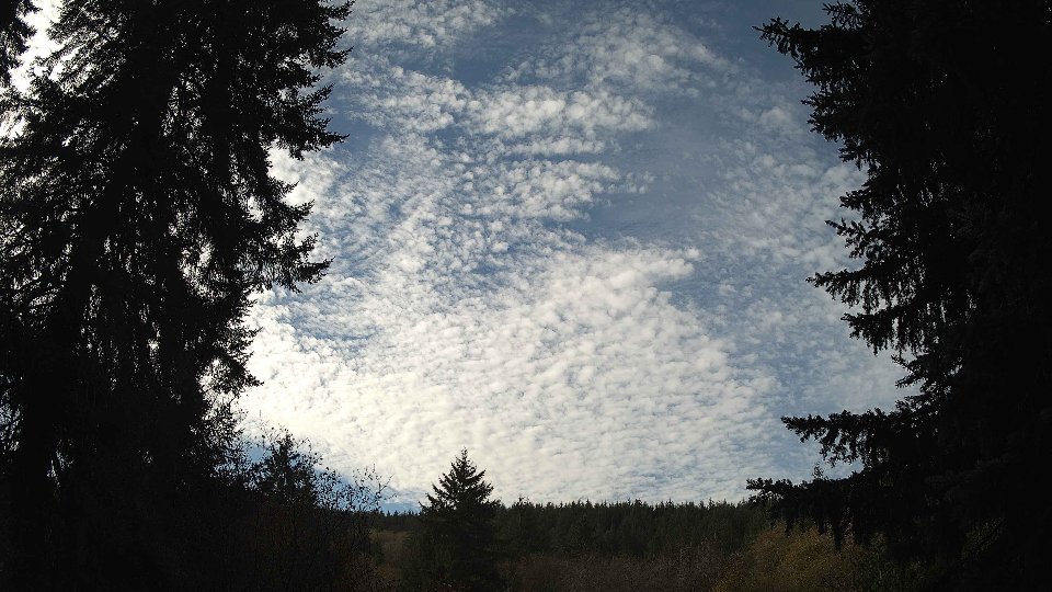 Pacific Northwest skyline timelapse on Nov 11, 2025 at 11:15 AM