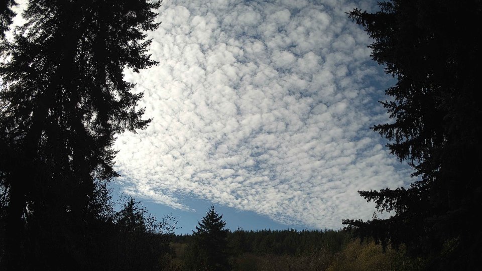 Pacific Northwest skyline timelapse on Nov 11, 2025 at 11:30 AM