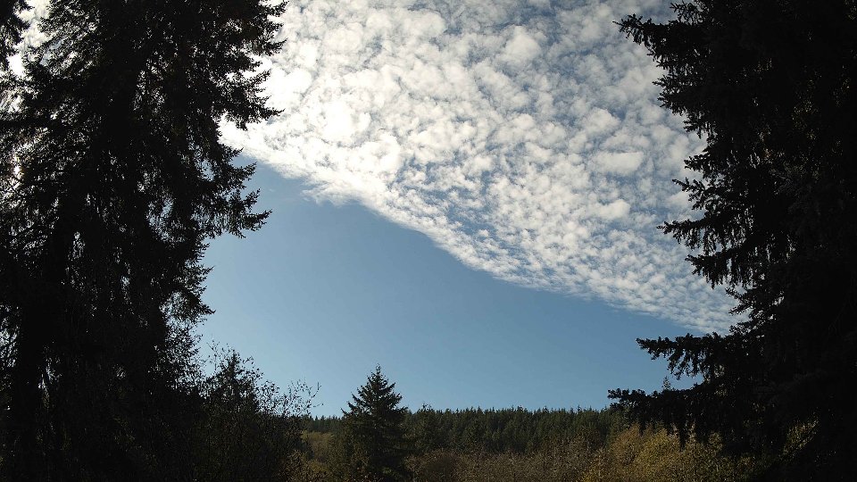 Pacific Northwest skyline timelapse on Nov 11, 2025 at 11:45 AM