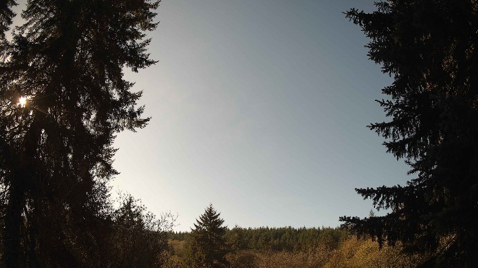 Pacific Northwest skyline timelapse on Nov 11, 2025 at 12:00 PM