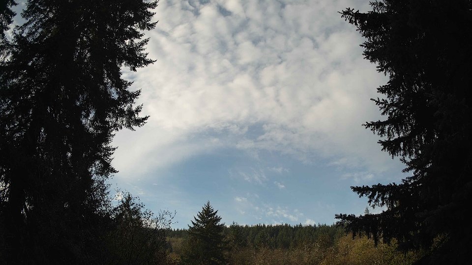 Pacific Northwest skyline timelapse on Nov 12, 2025 at 9:30 AM