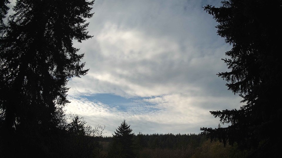 Pacific Northwest skyline timelapse on Nov 12, 2025 at 10:00 AM