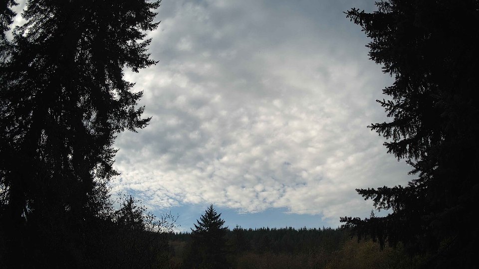 Pacific Northwest skyline timelapse on Nov 12, 2025 at 10:15 AM