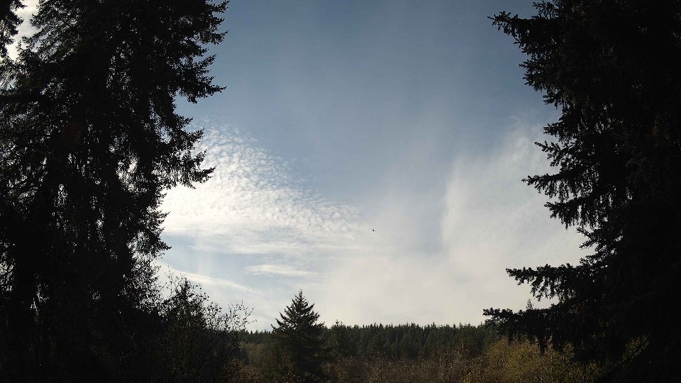 Pacific Northwest skyline timelapse on Nov 12, 2025 at 10:45 AM
