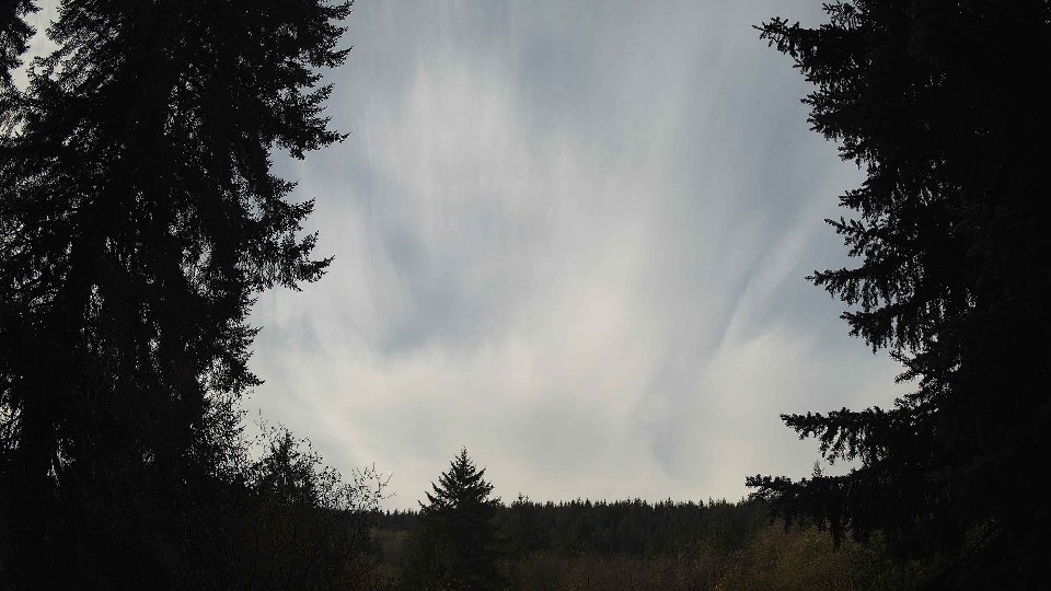 Pacific Northwest skyline timelapse on Nov 12, 2025 at 11:00 AM