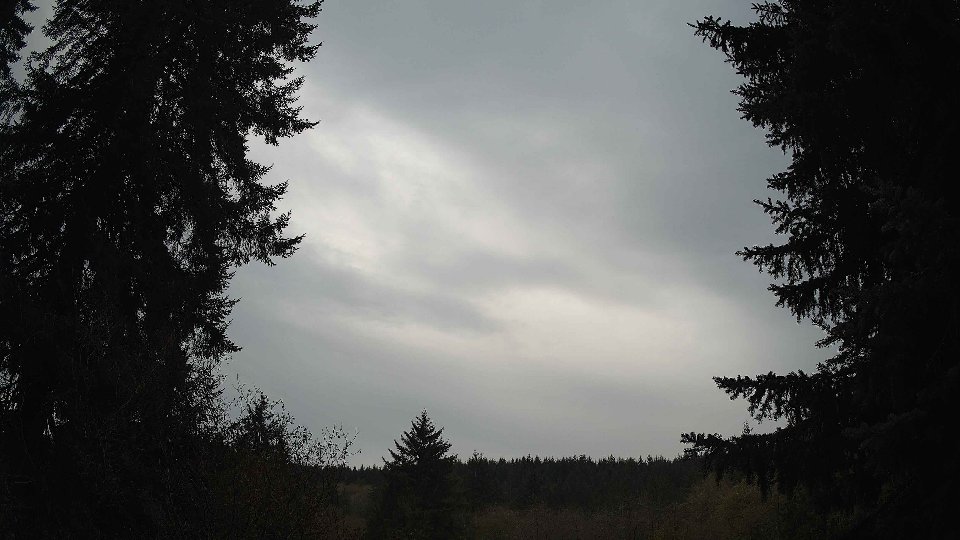Pacific Northwest skyline timelapse on Nov 12, 2025 at 1:00 PM