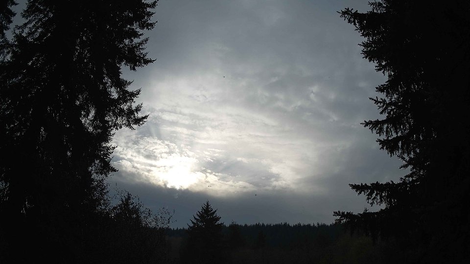 Pacific Northwest skyline timelapse on Nov 12, 2025 at 2:30 PM