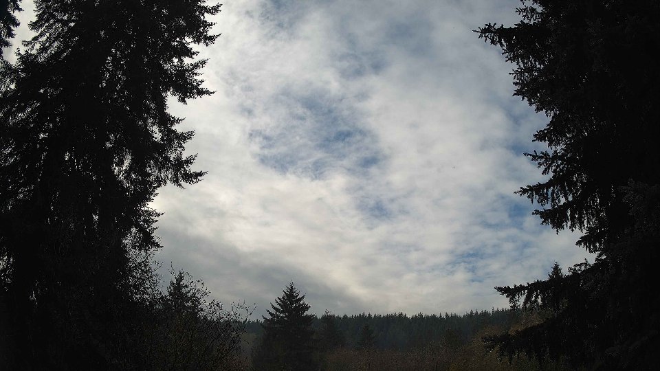 Pacific Northwest skyline timelapse on Nov 13, 2025 at 11:00 AM