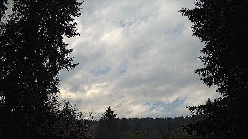 Pacific Northwest skyline timelapse on Nov 13, 2025 at 12:00 PM