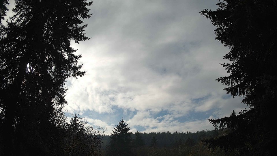 Pacific Northwest skyline timelapse on Nov 13, 2025 at 12:30 PM