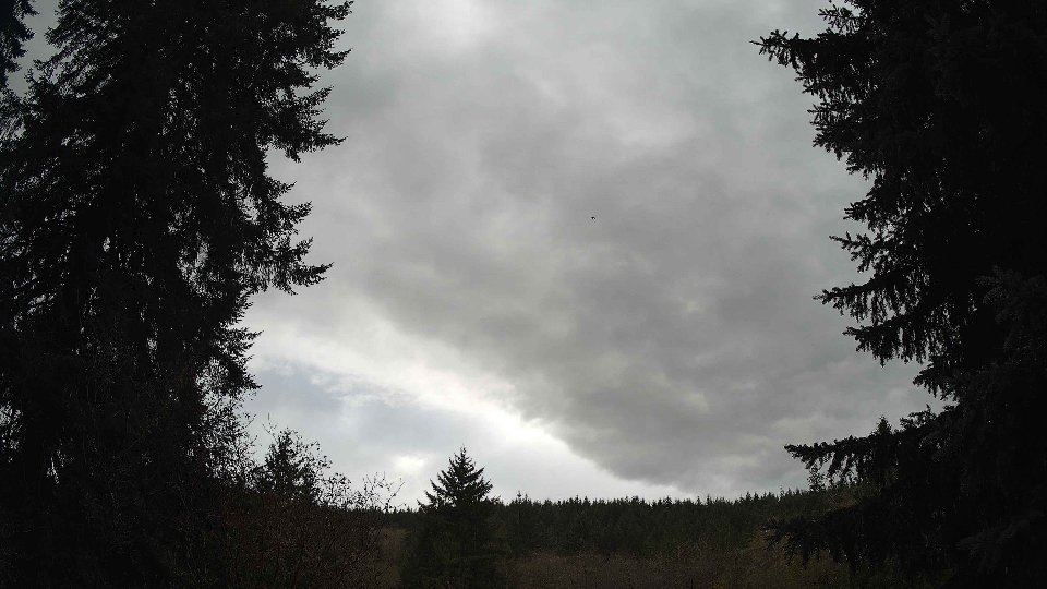 Pacific Northwest skyline timelapse on Nov 13, 2025 at 1:30 PM