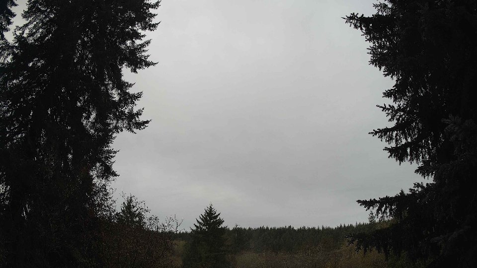 Pacific Northwest skyline timelapse on Nov 14, 2025 at 9:00 AM