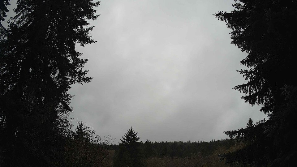 Pacific Northwest skyline timelapse on Nov 15, 2025 at 11:00 AM