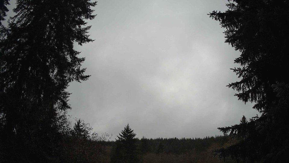 Pacific Northwest skyline timelapse on Nov 15, 2025 at 11:30 AM