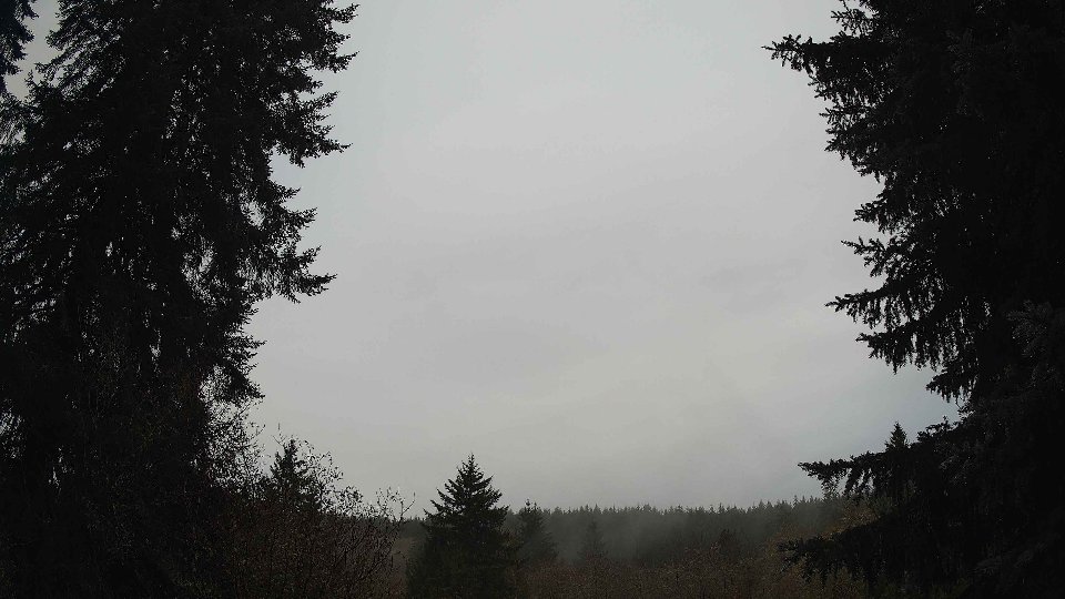 Pacific Northwest skyline timelapse frame from Nov 17th, 2025 at 8:00 AM