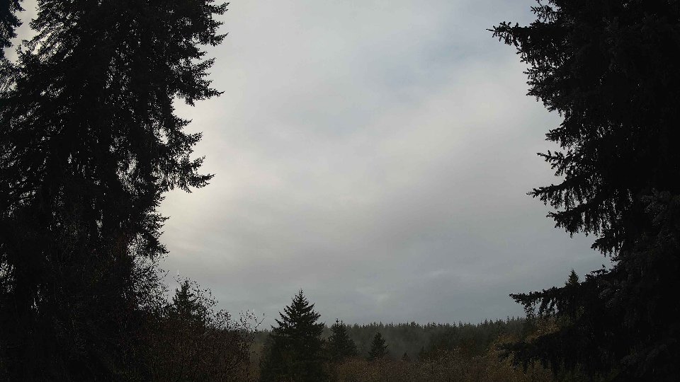 Pacific Northwest skyline timelapse frame from Nov 17th, 2025 at 9:00 AM