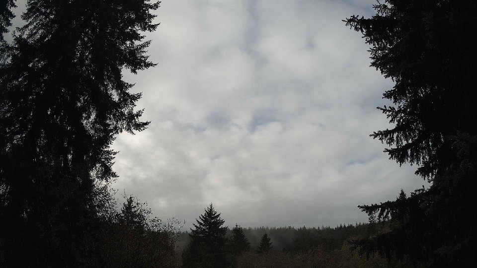 Pacific Northwest skyline timelapse frame from Nov 17th, 2025 at 10:00 AM