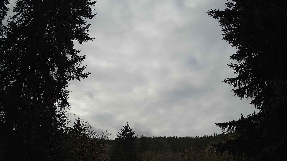 Pacific Northwest skyline timelapse frame from Nov 17th, 2025 at 10:30 AM